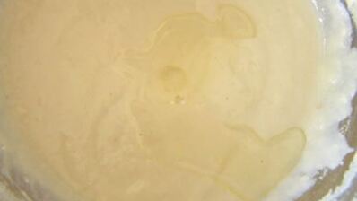 лепешка с зеленым луком