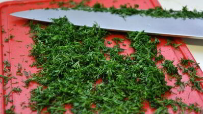 лепешки с творогом и укропом