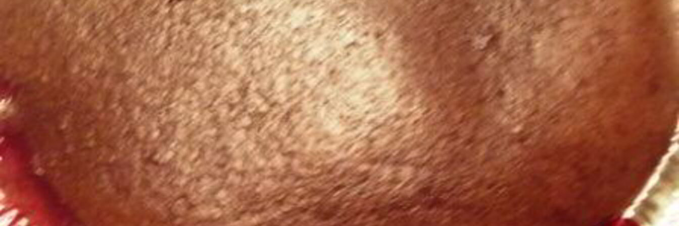 Шоколадный манник с ягодами