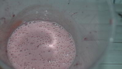 оладьи с лесными ягодами