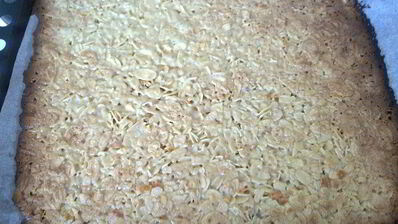 флорентины — печенье из миндальных лепестков