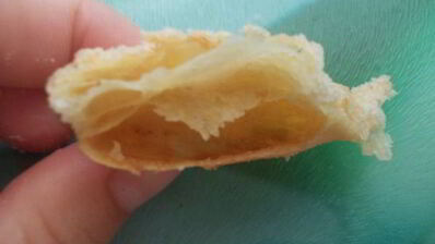 хрустящее печенье треугольнички