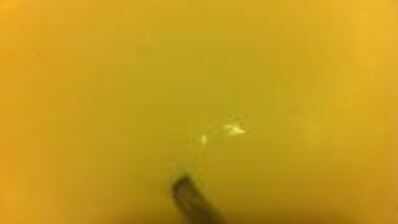 киш с индейкой, шпинатом и рикоттой