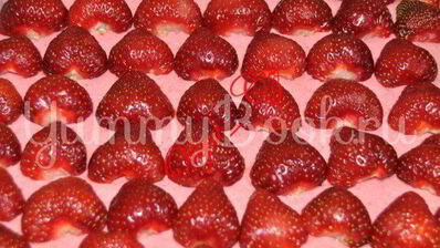 пирог с клубничным муссом