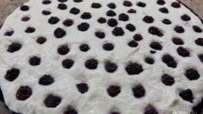 творожный пирог с хрустящей корочкой