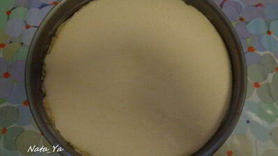 творожный пирог с противня