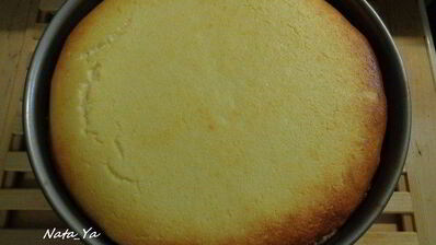 творожный пирог с противня