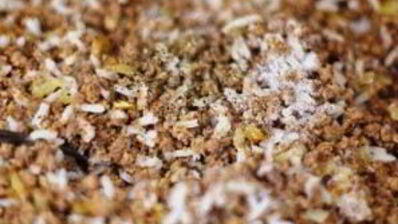 пирожки с мясом и рисом