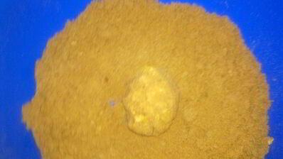 пирожное к чаю без выпечки