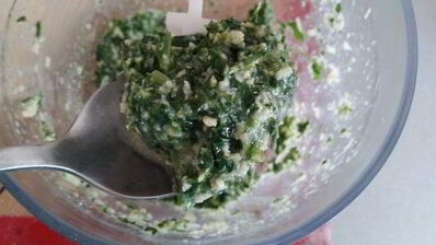 пицца с зеленым соусом, курицей и моцареллой