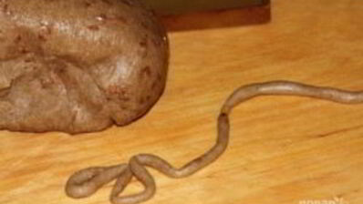 тетеры с медом — кружевные медовые пряники