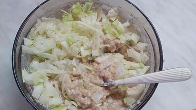 шарлотка с капустой в мультиварке