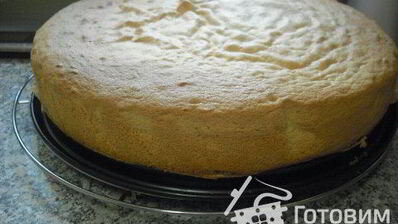 бисквитное тесто