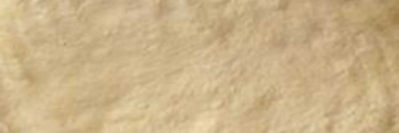 Быстрое дрожжевое тесто для пиццы