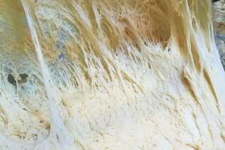 Медовое дрожжевое тесто