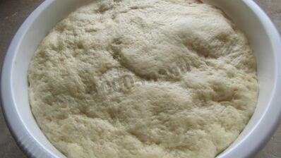 тесто дрожжевое сдобное для пирожков