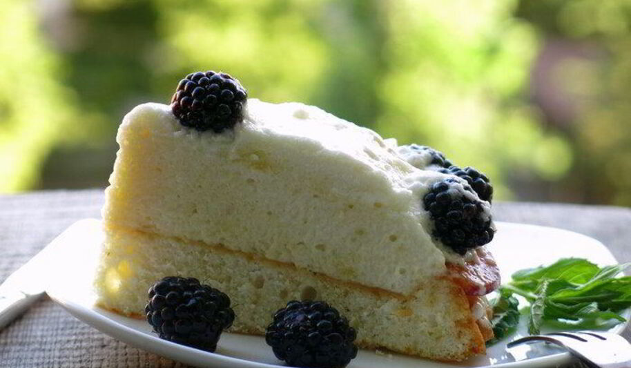 Рецепт бисквитного торта с ежевикой и мятным кремом шибуст