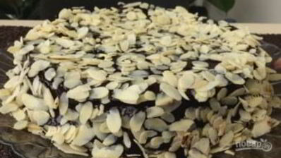 простой торт со сметаной