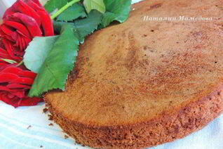 Шоколадный бисквит