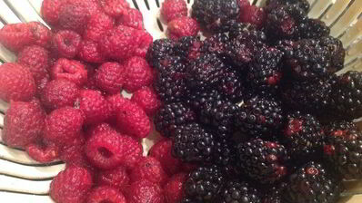 шоколадный торт с ежевикой и малиной