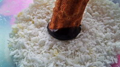 вафли хрустящие из разных хлопьев