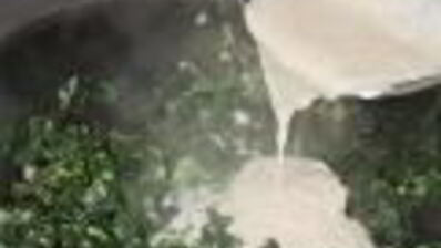 запеканка из зелени в сливочном соусе