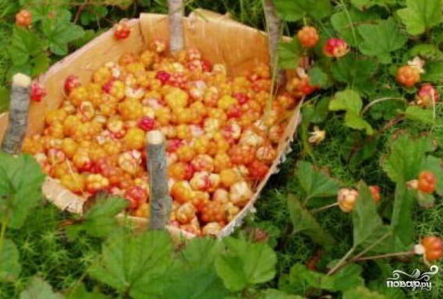 Джем из морошки