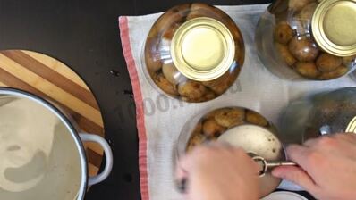 груши на зиму без стерилизации