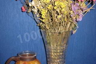 Апельсиновый компот из апельсинов