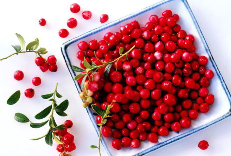 Компот из барбариса