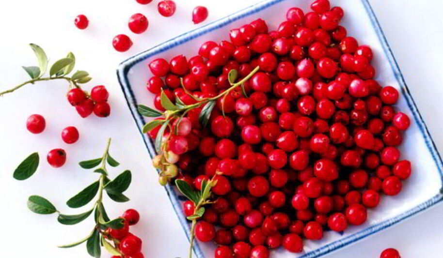 Рецепт компота из барбариса