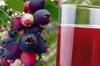 Компот из ирги