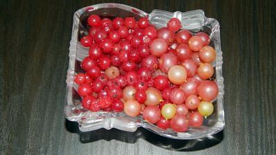 компот из смородины и крыжовника на зиму