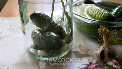 квашеные огурцы на зиму без уксуса