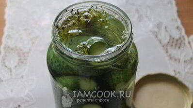 квашеные огурцы на зиму без уксуса