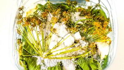 квашеные огурцы с горчицей