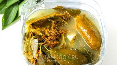 квашеные огурцы с горчицей