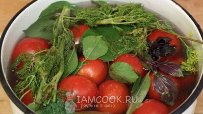 квашеные помидоры