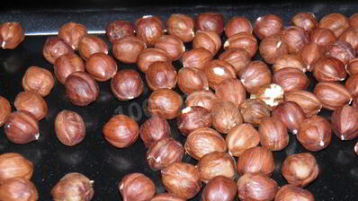 лесные орехи в сахаре