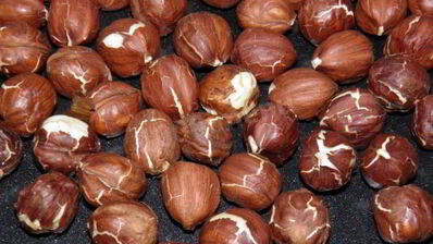 лесные орехи в сахаре