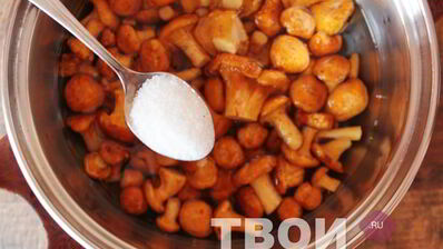 лисички на зиму