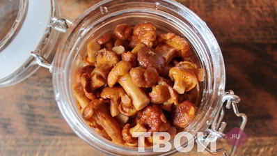 лисички на зиму