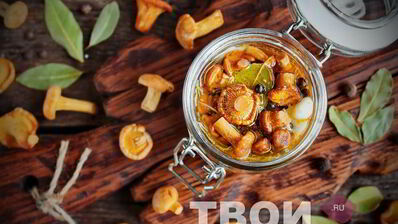 лисички на зиму