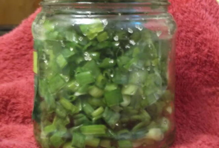 Лук зеленый на зиму