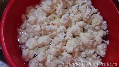 баклажаны маринованные с цветной капустой и гогошарами