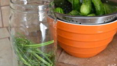 быстрые маринованные огурцы