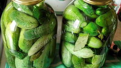 классические маринованные огурцы на зиму