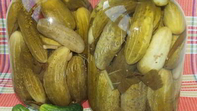 классические маринованные огурцы на зиму