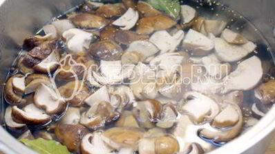 маринованные белые грибы на зиму