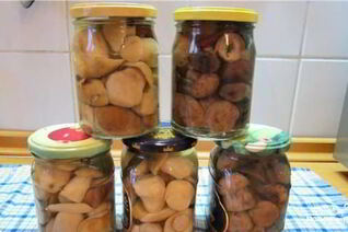 Маринованные белые грибы с корицей